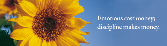 [ Sunflower Image ]